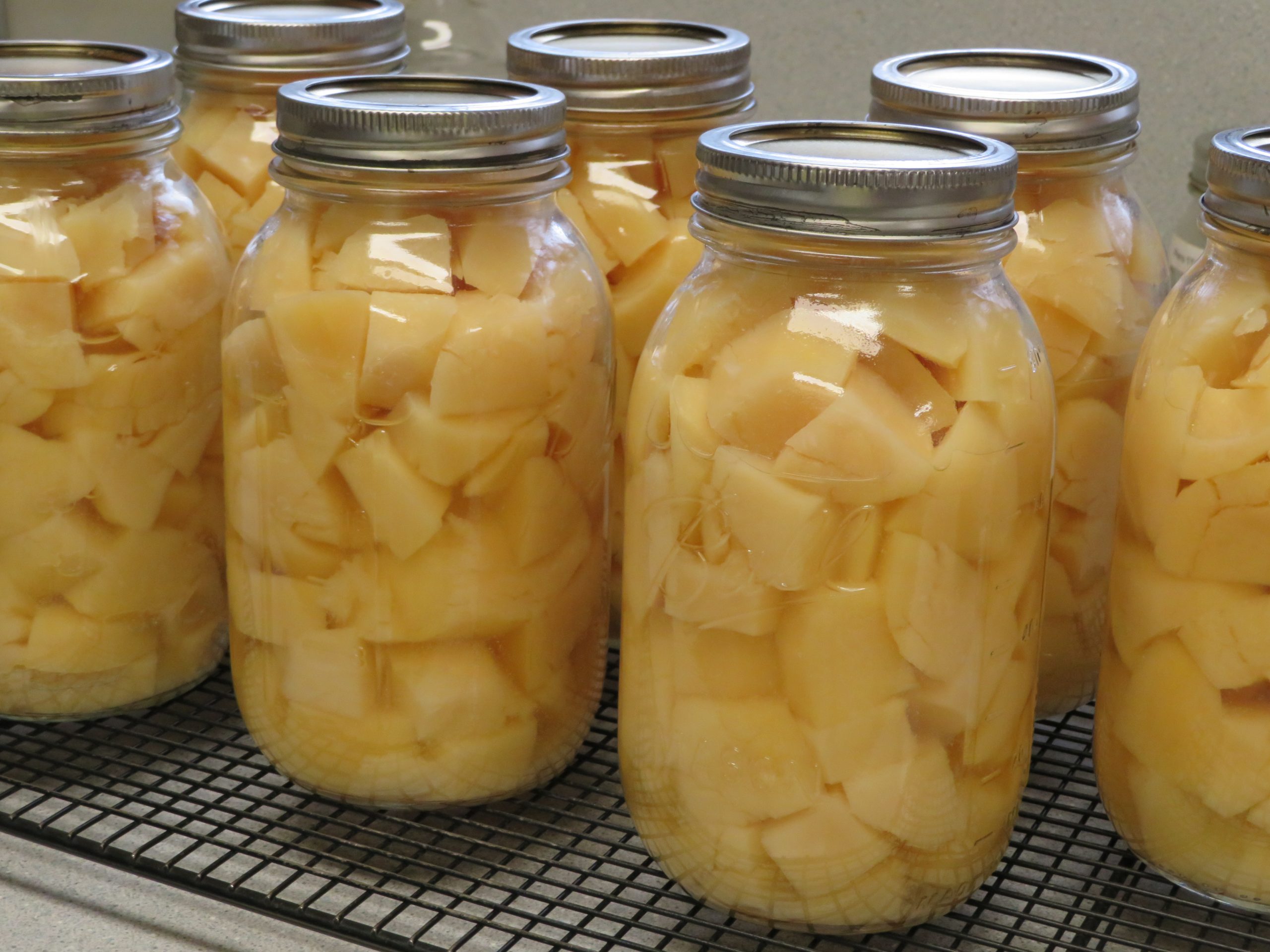 Quart jars of home canned gold potatoes