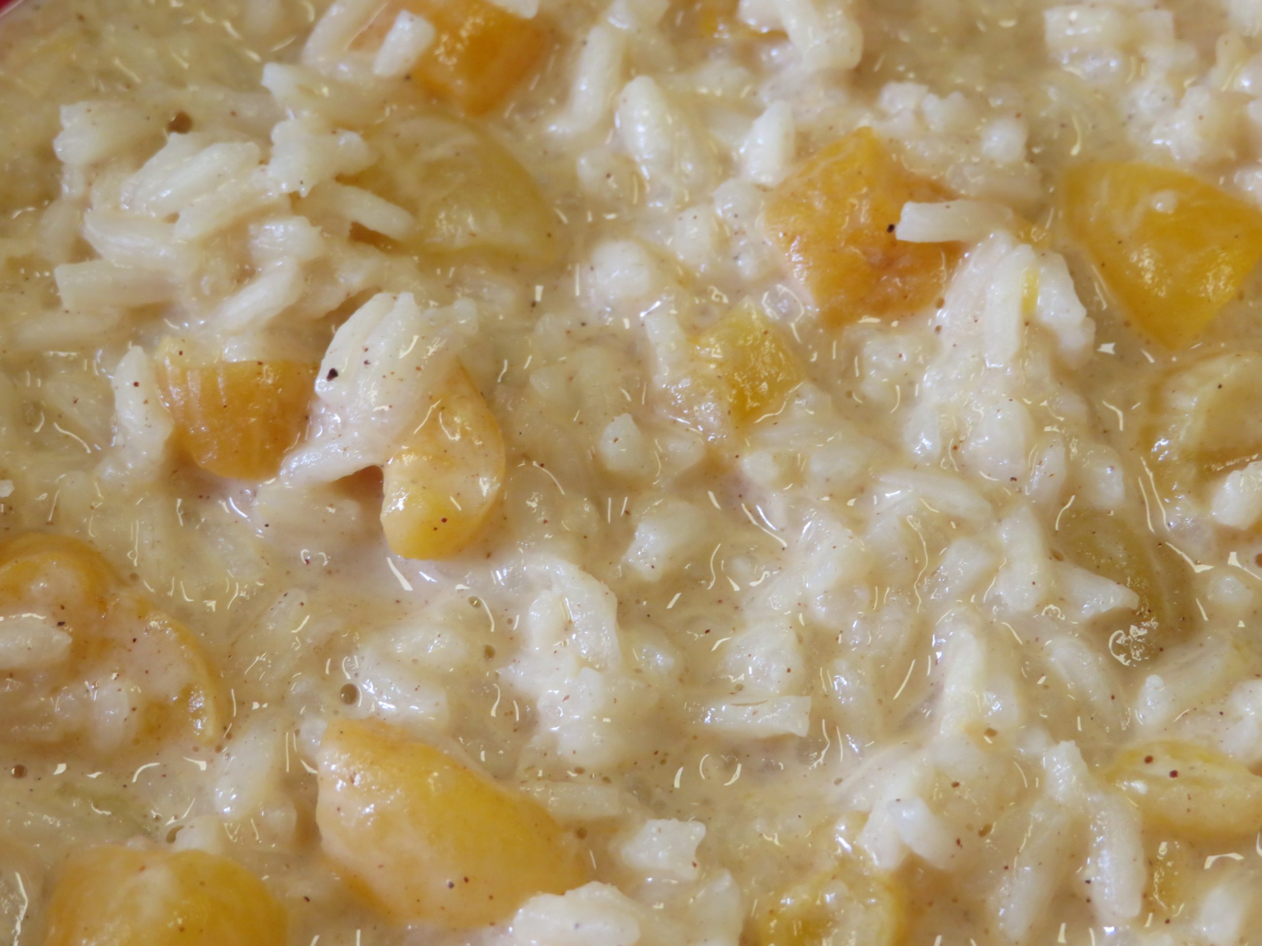 Apricot Rice Pudding closeup