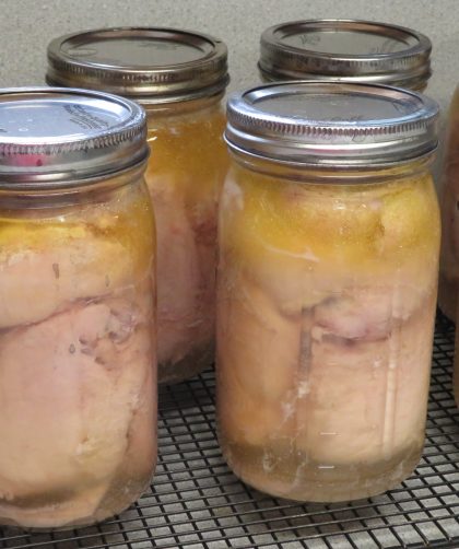 Quart and pint jars of bone in chicken thighs