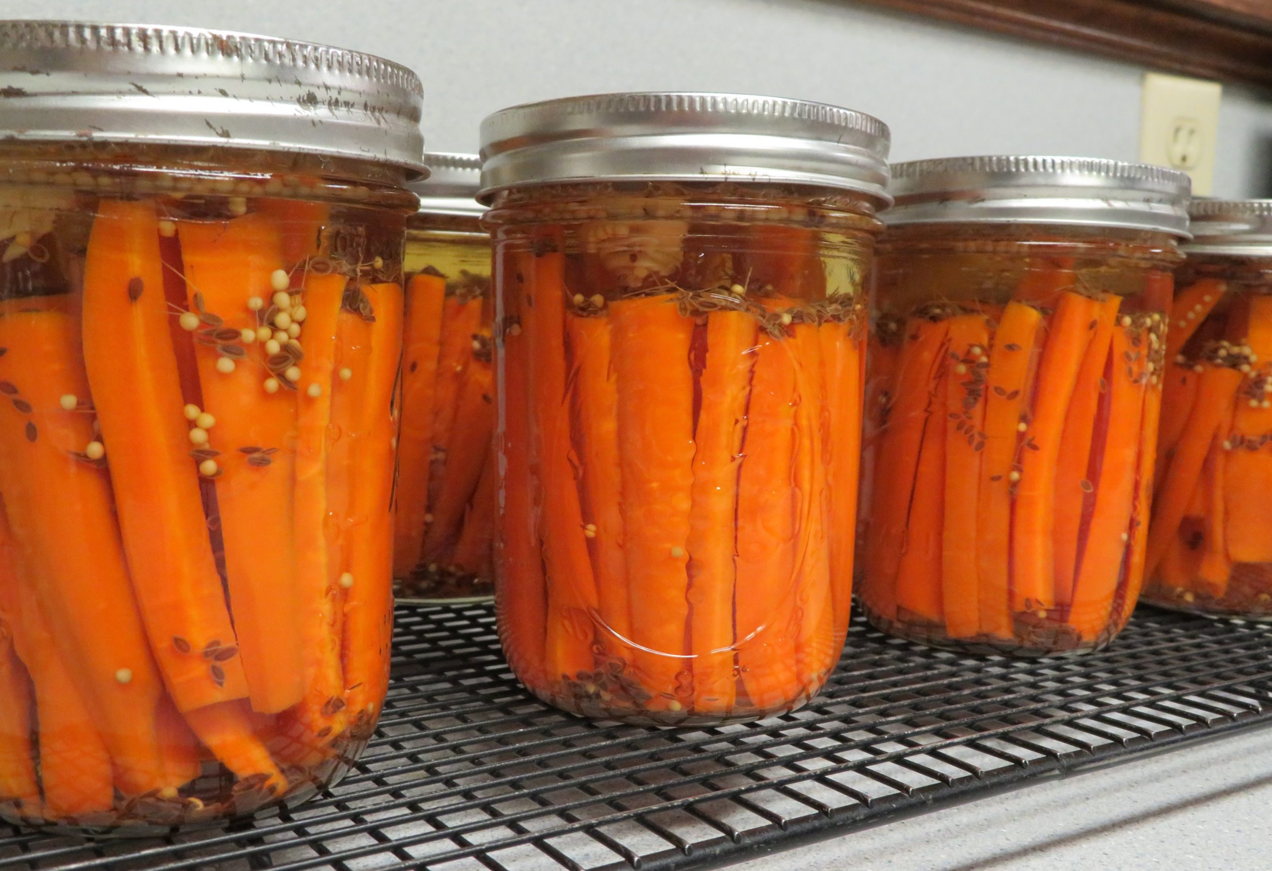 Pint jars of Garlic Dill PIckled Carrots