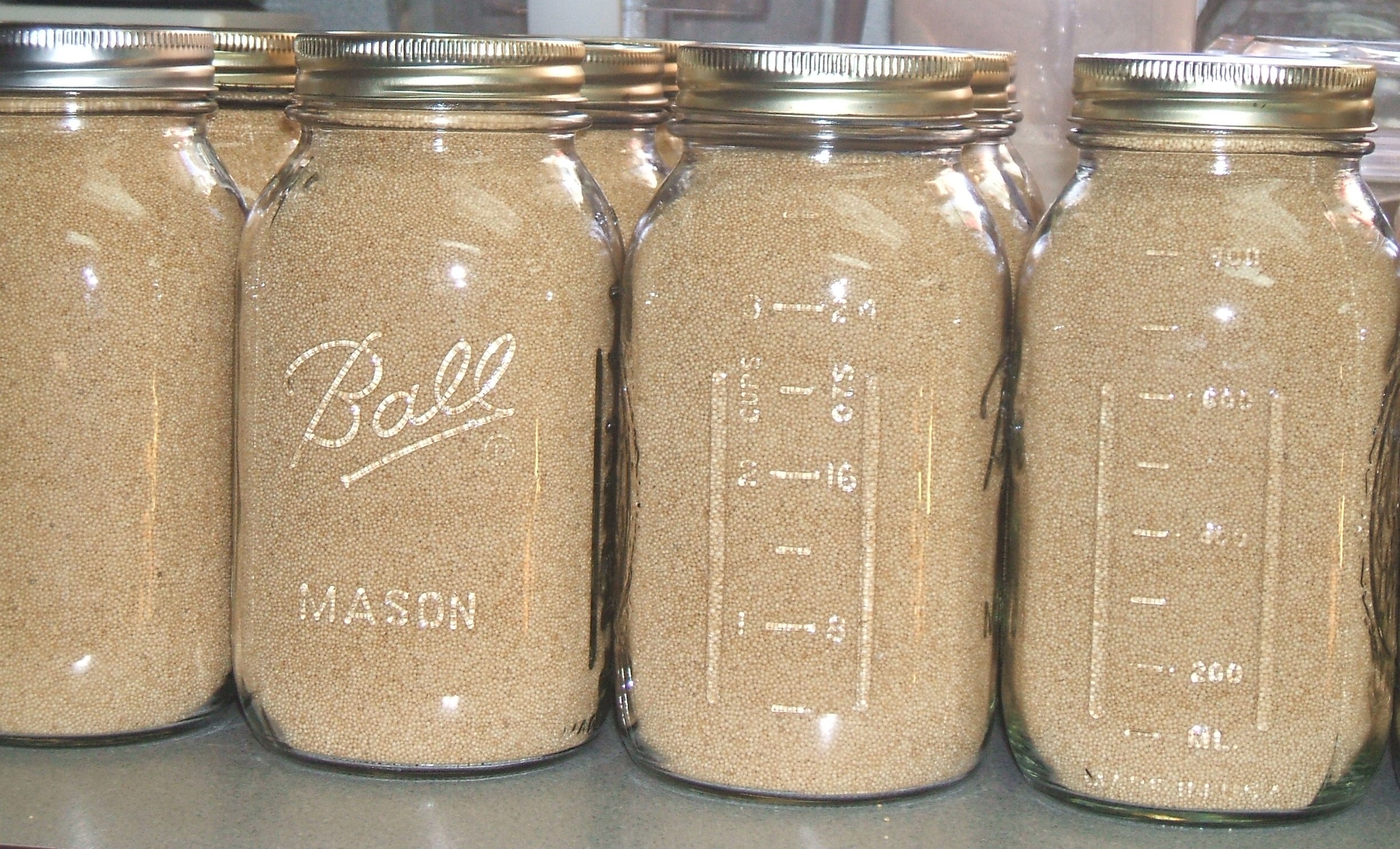 Amaranth dry packed in quart canning jars