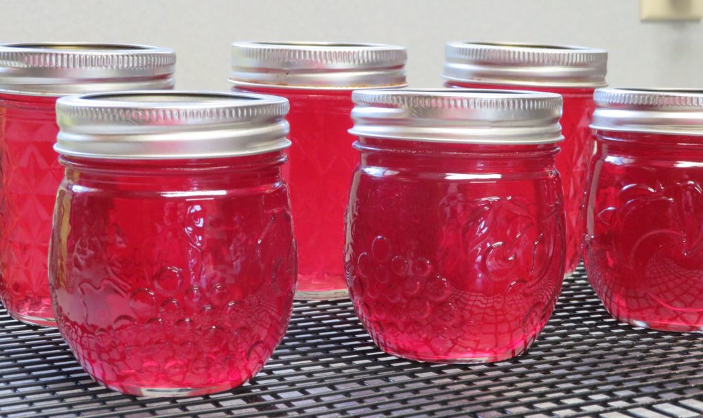 Jelly jars of Wild Mustang grape jelly