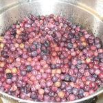 Wild Mustang grapes in a steam juicer colander basket