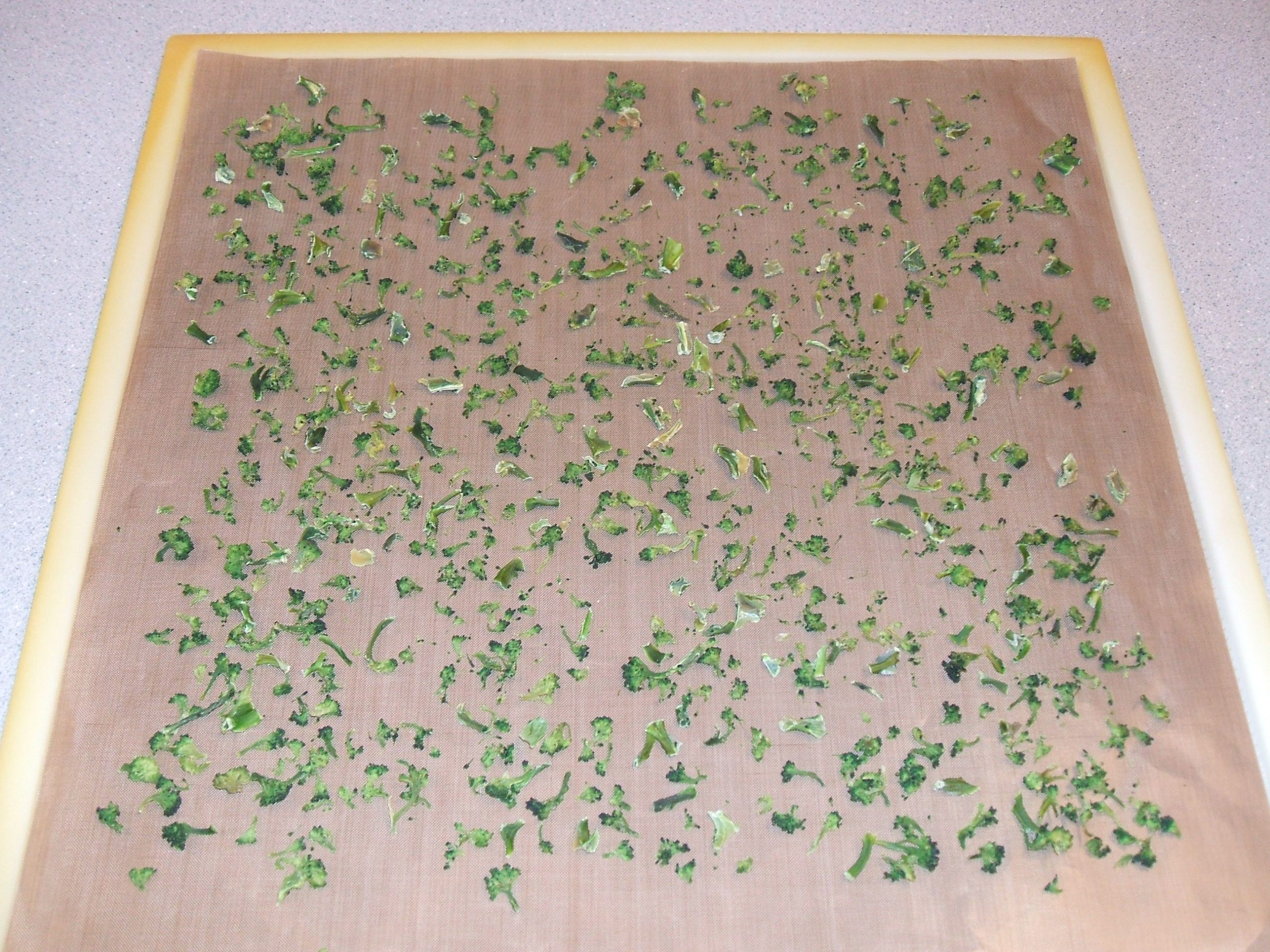 Dried chopped broccoli on a dehydrator tray