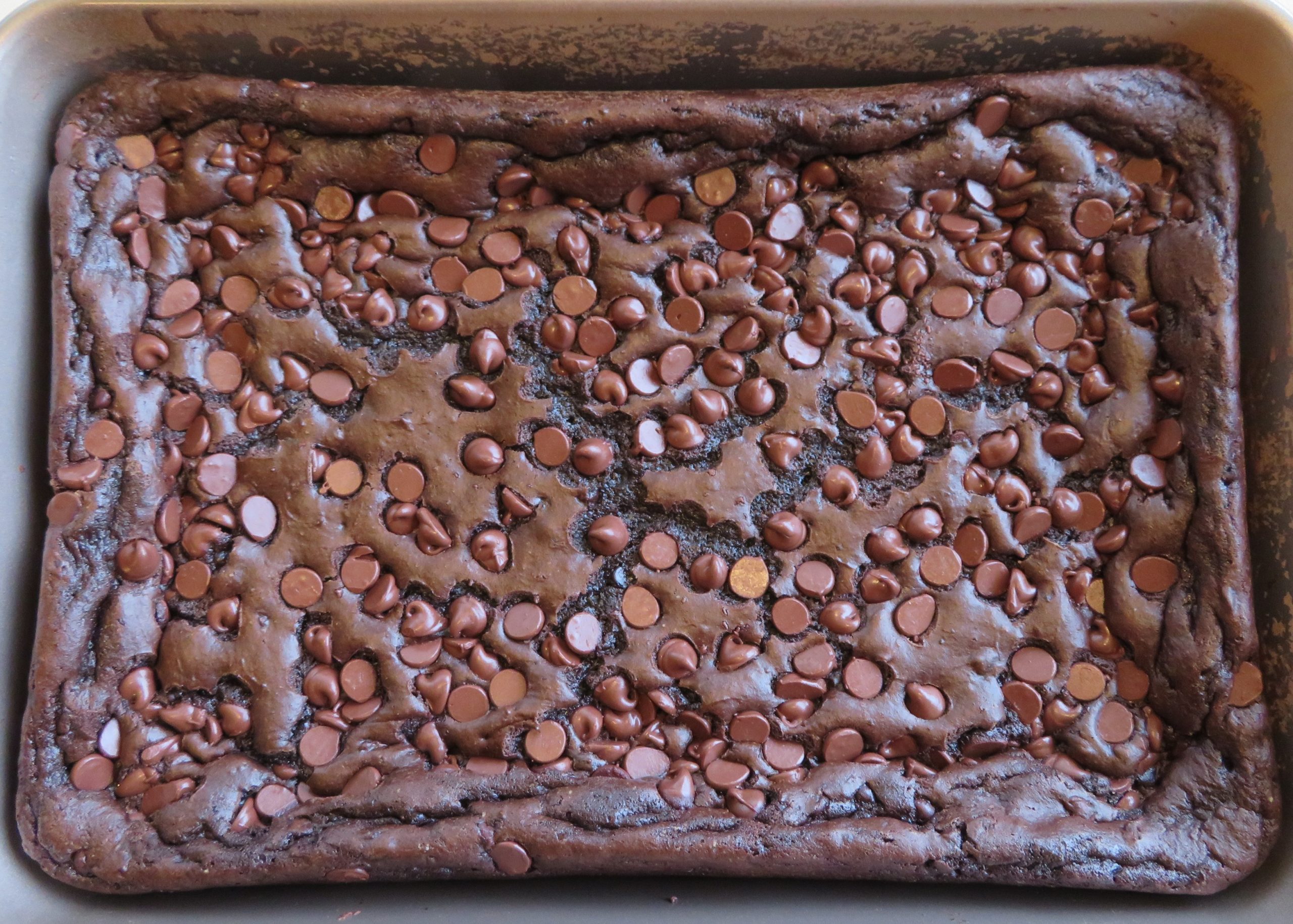 Chocolate Chocolate Chip Cake Brownies