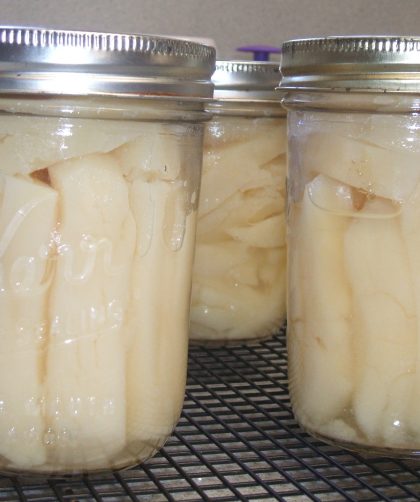 Pint jars of canned French fries