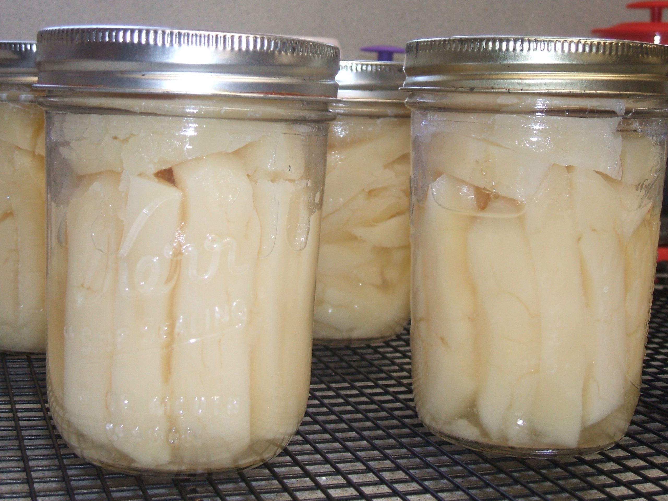 Pint jars of canned French fries