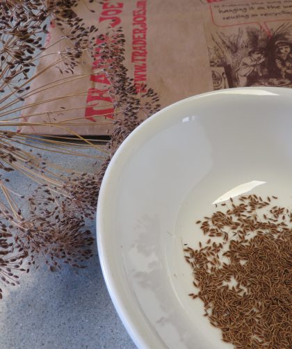 Paper sack, dried dill seed head, and harvested seeds in a bowl