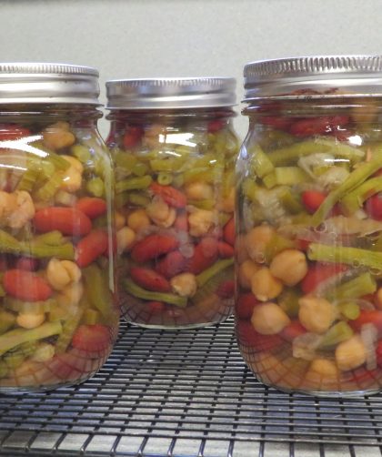 Pint jars of Pickled Three Bean Salad