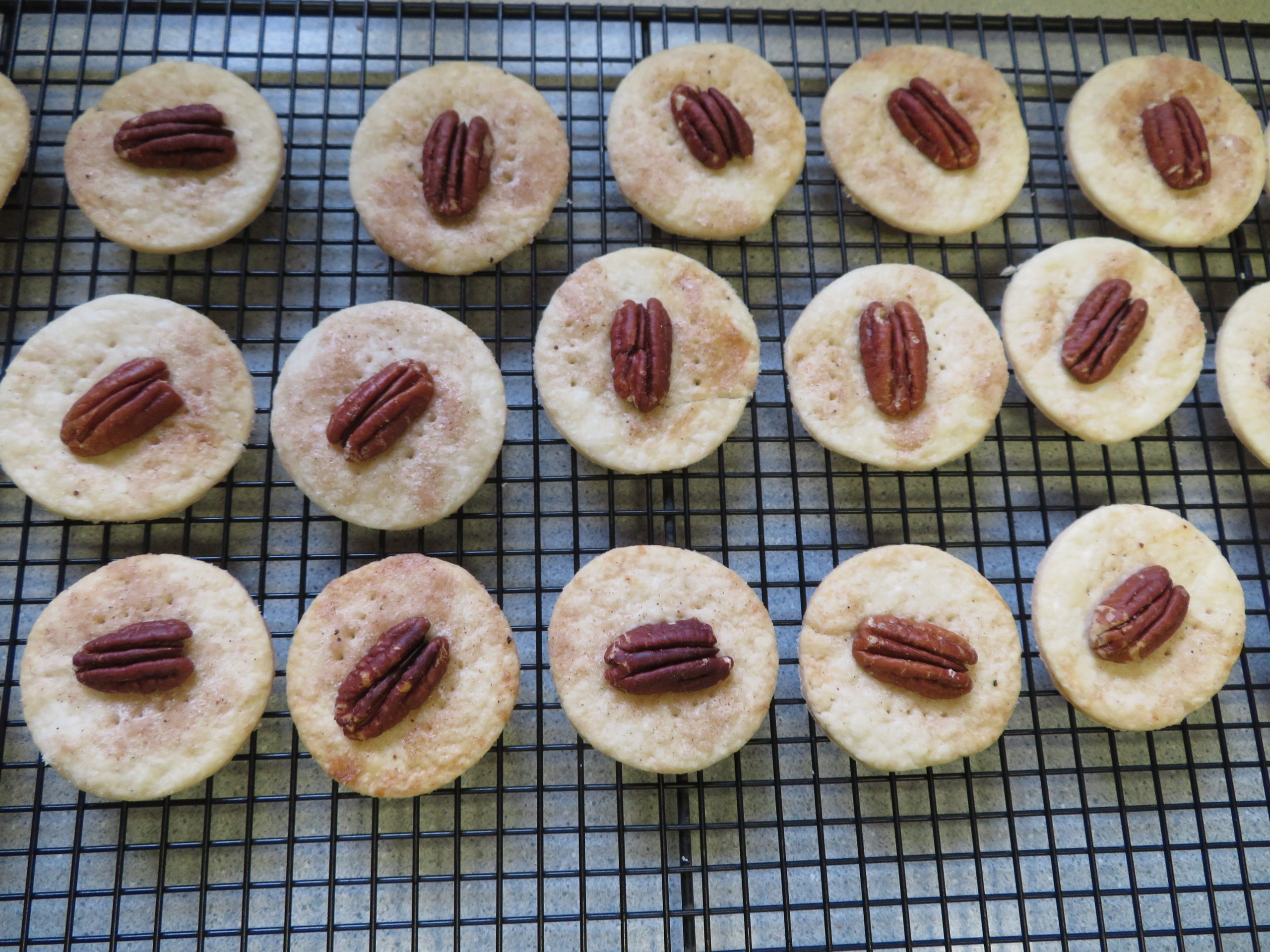 Baked Sugar and Spice Pecan Tarts